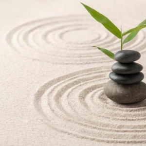 Mindfulness. Atención plena en el aula