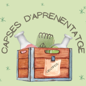 Capses d'aprenentatge