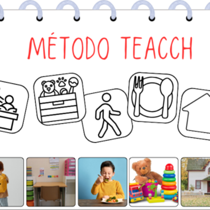 Metodología TEACCH. Principios, estrategias i práctica docente